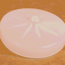 TAMPA DA GARRAFA DISPENSADORA DE MOLHO